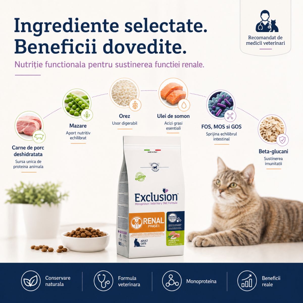 EXCLUSION Monoprotein VD Renal Phase 1, Porc și Orez, dietă veterinară, hrană uscată pisici, sistem renal, 1.5kg